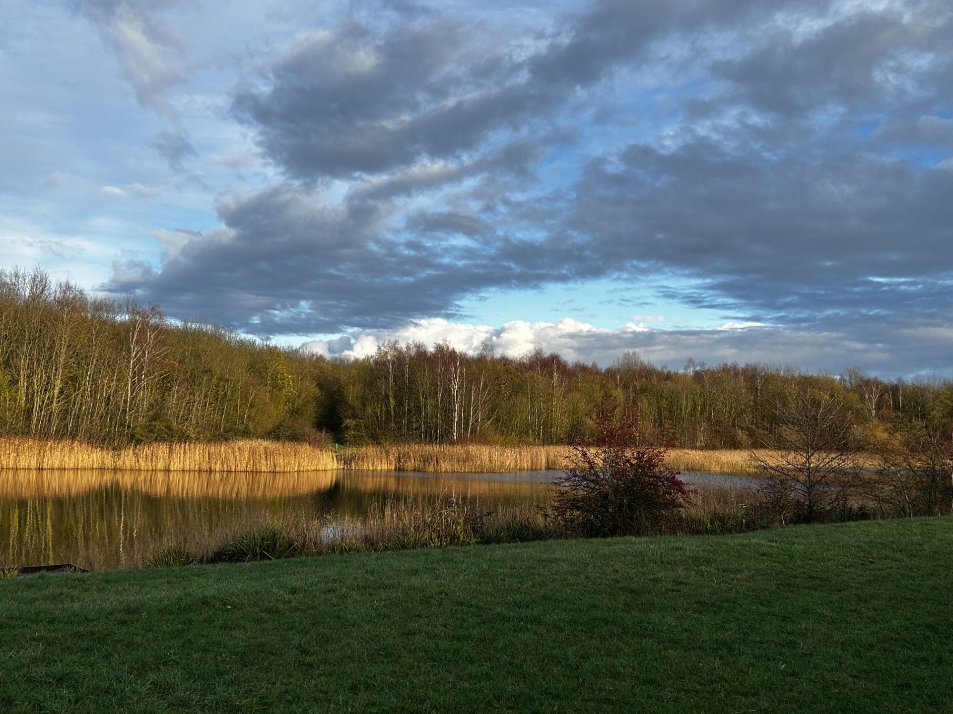 View of a lake in Cotgrave Country Park